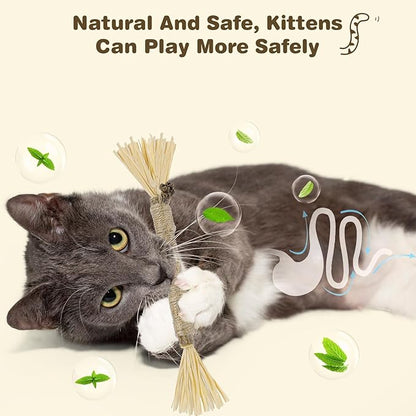 SINROBO 4 Pack Silvervine Sticks for Cats - Cat Chew Toy for Teeth Cleaning, Edible Matatabi Kitty Chew Sticks, Catnip Cat Toys for Indoor Cats (4 Sticks)