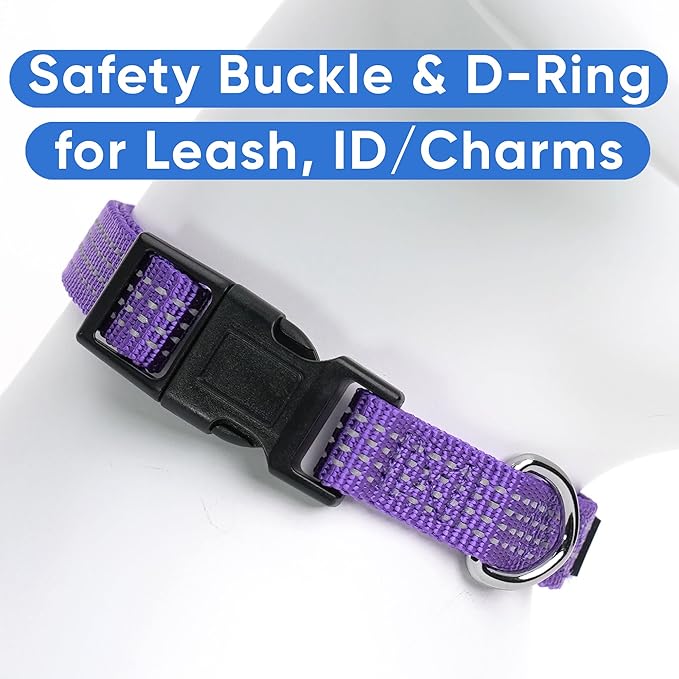 Pawtitas Reflective Dog Collar Adjustable Dog Collars for Small Dogs Puppy Collar Small Dog Collar Purple Dog Collar