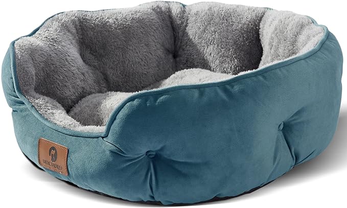 Asvin Medium Dog Bed for Medium Dogs, Cat Beds for Indoor Cats, Pet Bed for Puppy and Kitty, Extra Soft & Machine Washable with Anti-Slip & Water-Resistant Oxford Bottom, Teal, 25 inches