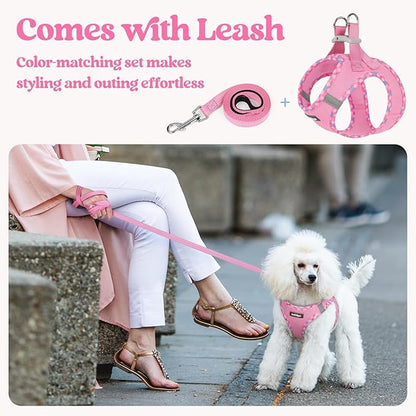 rabbitgoo Dog Harness Small Sized and Leash Set, Step in Soft Light Puppy Vest, Breathable Mesh Pet Harness, Reflective for Safe Easy Walking, Pink & Plaid Trim M