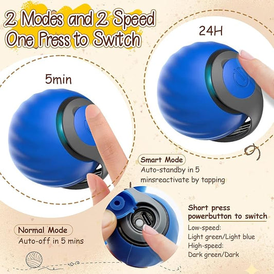 CONAMEI 2PCS Interactive Cat Toys Ball,Newly Upgraded Speedy Tail Cat Toy with USB Charging,Automatic Smart Interactive Cat Toys for Indoor Cats with 6 Tails-Blue&Red