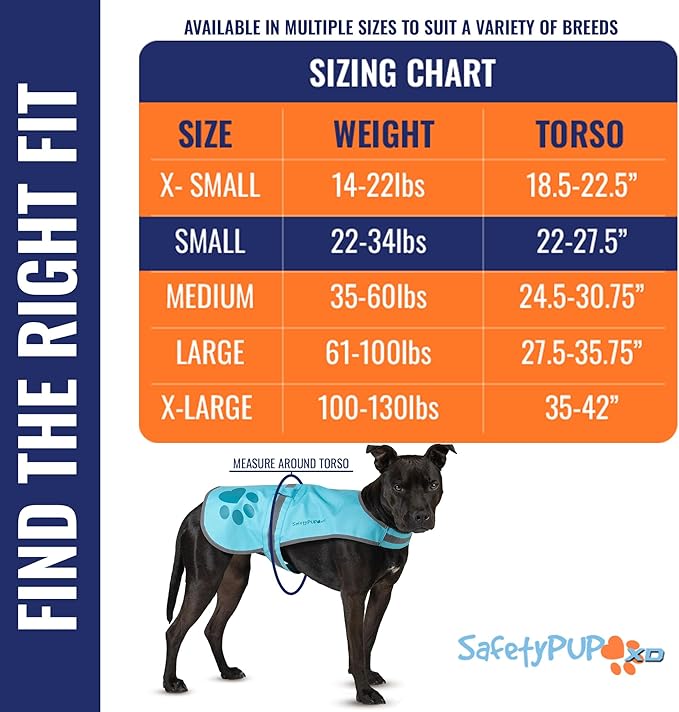 SafetyPUP XD Dog Reflective Vest – Hi-Vis Fluorescent Visibility That Helps to Safeguard Your Pet On/Off Leash in Urban & Rural Areas (Teal, Small)