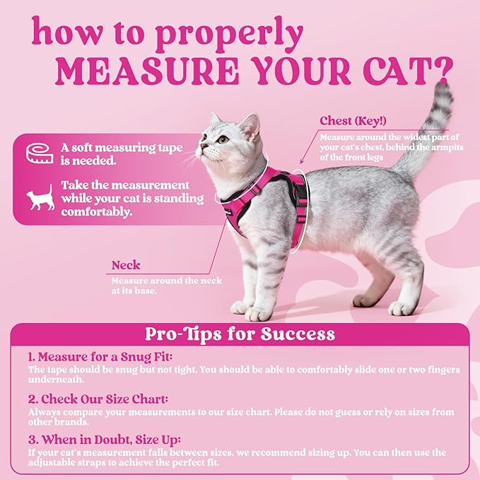 rabbitgoo Cat Harness and Leash for Walking, Escape Proof Soft Adjustable Vest Harnesses for Cats, Easy Control Breathable Reflective Strips Jacket, Rose Red, XS