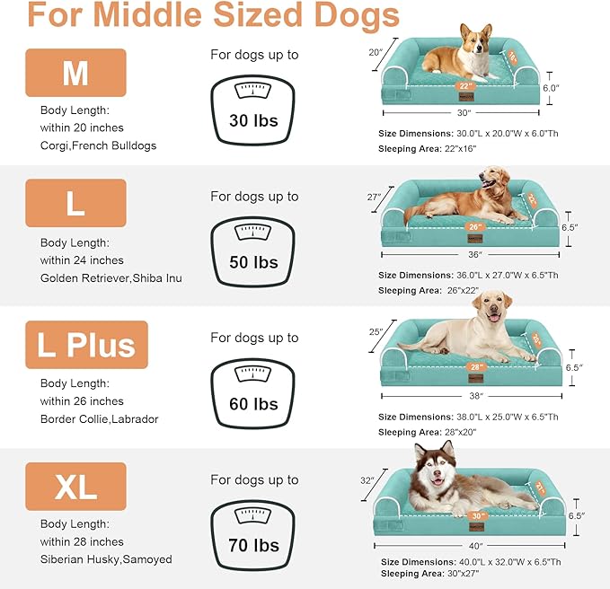 Large Dog Bed Orthopedic Washable: Beds Bolster XL Bed Medium Large Dogs Egg Crate Foam Couch Sofa Waterproof with Removable Cover - Aqua Blue