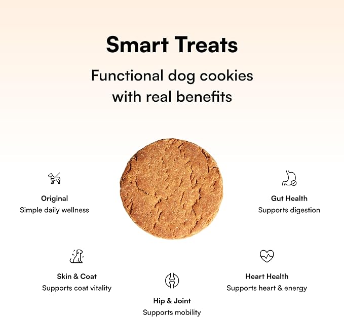 PawCo Dog Treats, Skin & Coat – Supports Skin Barrier & Coat Shine – Crunchy Dog Cookies with Omega-3 & DHA, Peanut Butter & Apple – Functional & Healthy Rewards for Dogs – Magic Cookie – 8.8oz