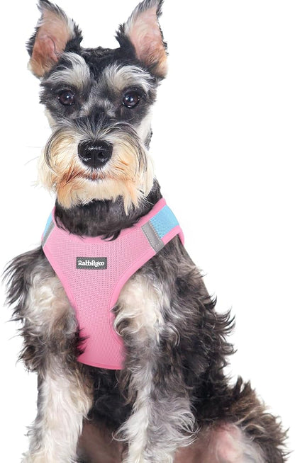 rabbitgoo Small Dog Harness, Step-in Soft Mesh Puppy Vest with Safety Buckle, Breathable Reflective Pet Harness for Large Dogs, Blue & Light Pink XXL