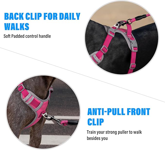 Plutus Pet No Pull Dog Harness, Release at Neck, Reflective Adjustable Dog Vest Harness, Easy Control Handle for Walking, for Small Medium Large Dogs, Hot Pink, M