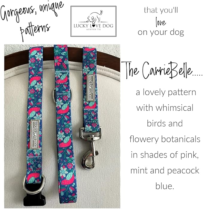 Lucky Love Dog - Adjustable Collar and Leash Set with Easy Click Buckle for Small Dogs, Durable, & Comfortable Collar for Male & Female Dogs, Puppies & Adult - CarrieBelle Combo, XS