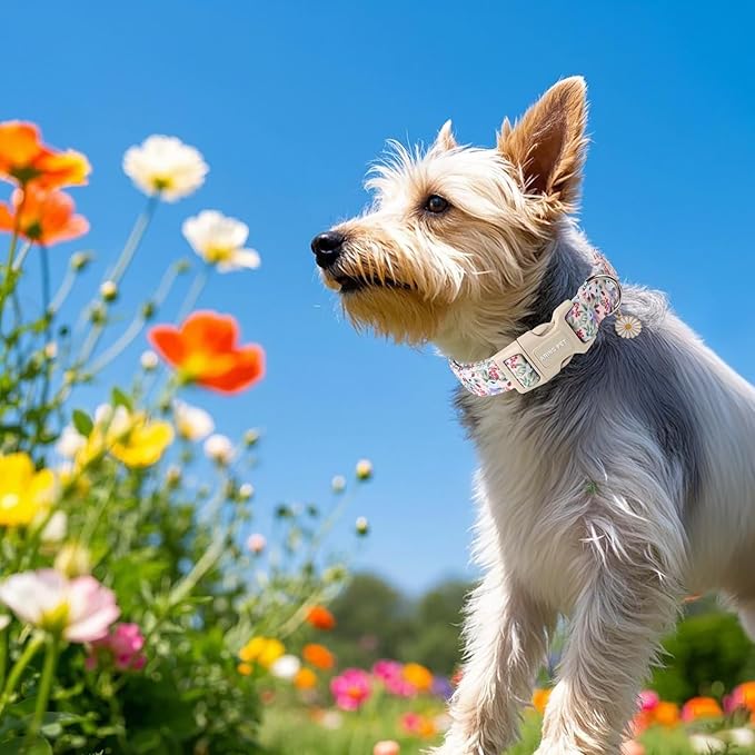 ARING PET Floral Dog Collar, Cute Purple Flower Spring Summer Pet Collars with Quick Release Buckle for Puppy Small Medium Large Boy Girl Dogs-S