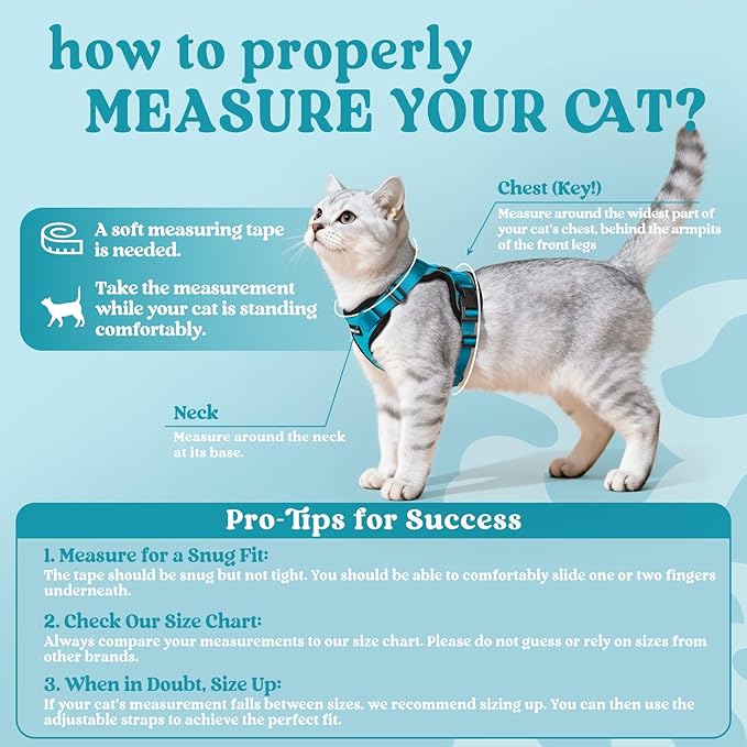 rabbitgoo Cat Harness and Leash for Walking, Escape Proof Soft Adjustable Vest Harnesses for Cats, Easy Control Breathable Reflective Strips Jacket, Teal, XXS