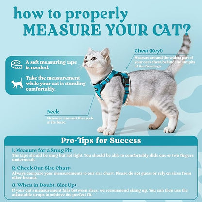 rabbitgoo Cat Harness and Leash for Walking, Escape Proof Soft Adjustable Vest Harnesses for Cats, Easy Control Breathable Reflective Strips Jacket, Teal, XXS