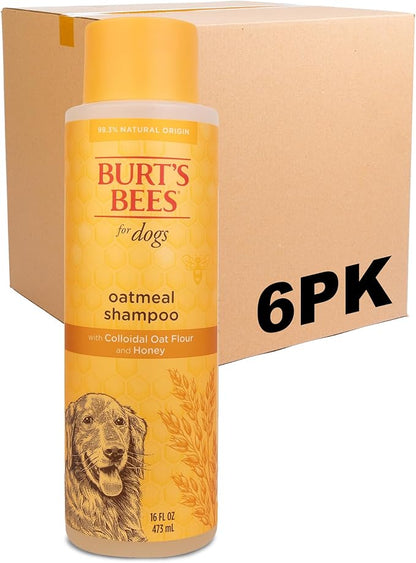 Burt's Bees for Pets Oatmeal Shampoo for Dogs with Colloidal Oat Flour and Honey - Skin Soothing Dog Oatmeal Shampoo, Dog Wash for Itchy Dry Skin, Essential Grooming Supplies, 16 Fl Oz - 6 Pack