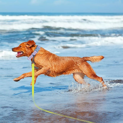Wolfone 40ft Yellow Long Leash - Waterproof Training Dog Leash for Recall, Swimming, Camping, Beach, Hunting, Walking