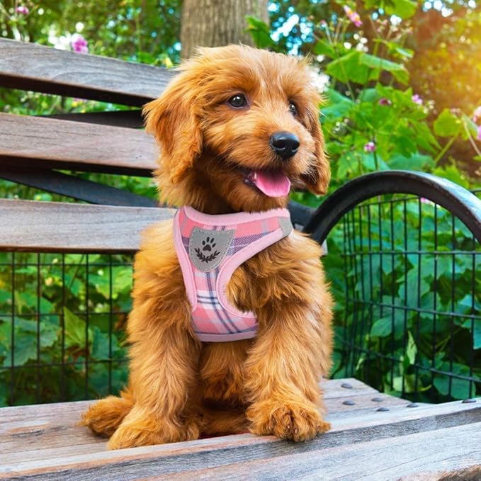 PUPTECK Adjustable Dog Harness Collar and Leash Set Step in No Pull Pet Harness for Small Medium Dogs Puppy and Cats Outdoor Walking Running, Soft Mesh Padded Reflective Vest Harnesses, Pink M