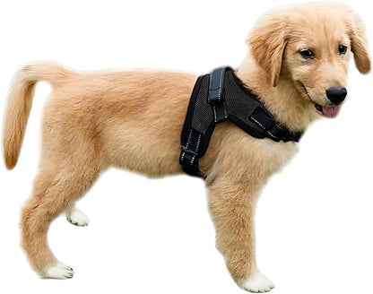 No Pull Reflective Adjustable Dog Harness with Handle- Comfortable Soft All Weather Mesh, Easy On Puppy Harness for Small Medium and Large Dogs (Black) XX-Small