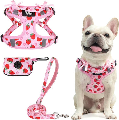 PUPTECK Dog Harness and Leash Set Medium Sized, Step in No Pull Adjustable Puppy Cat Harness Reflective Pet Vest