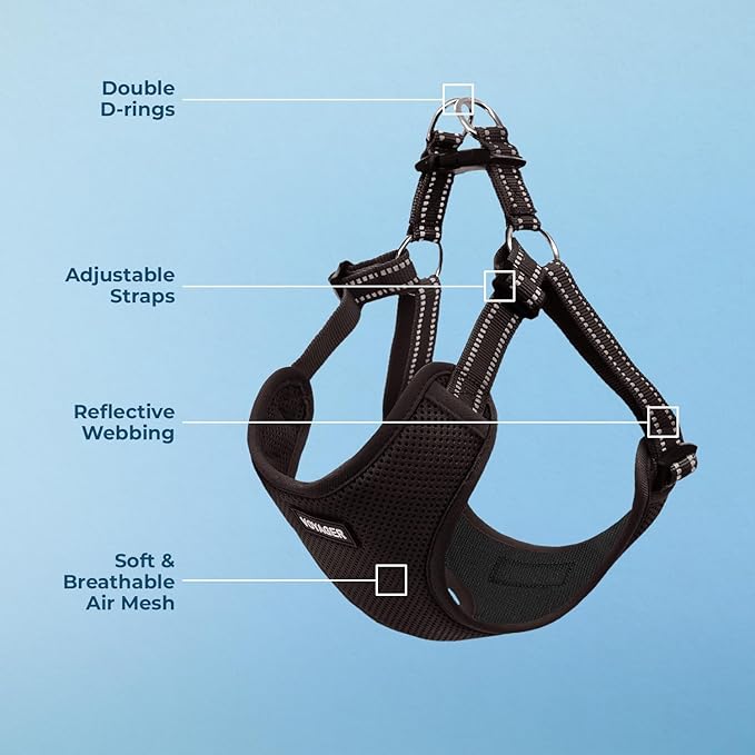 Best Pet Supplies Voyager Adjustable Step-In Flex Breathable Mesh Dog Harness for Small Medium Large Dogs (Black), XL