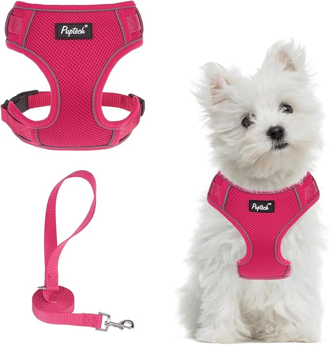 PUPTECK Small Dog Harness and Leash Set, No Pull Adjustable Puppy Cat Harness, Reflective Soft Mesh Pet Vest Small Sized, Fuchsia, S