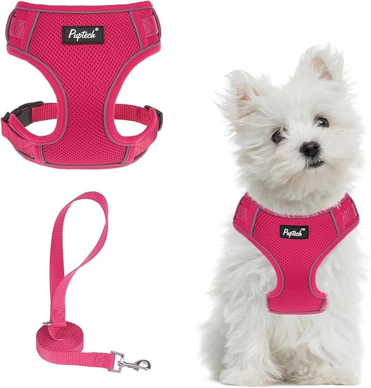 PUPTECK Small Dog Harness and Leash Set, No Pull Adjustable Puppy Cat Harness, Reflective Soft Mesh Pet Vest Small Sized, Fuchsia, S