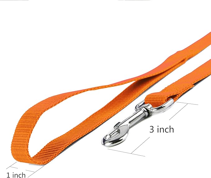 10ft Orange Dog Leashes Long Line Training Puppy Leash,for Large,Medium and Small Dogs,Long Pet Lead,for Training,Backyard,Camping,or Play,Great for Parks and Fetch (10FT, Orange)
