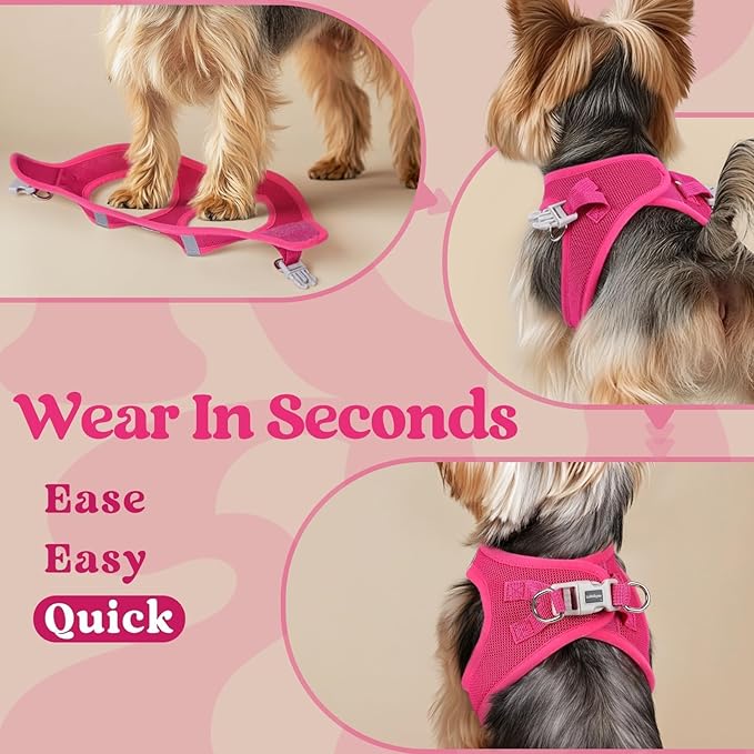 rabbitgoo Small Dog Harness, Step-in Soft Mesh Puppy Vest with Safety Buckle, Breathable Reflective Pet Harness for Small Sized Dogs, Rose Red XS