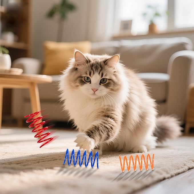 80 Pack 8 Colors Cat Spring Toys for Indoor Cats, Interactive Coil Springs Spiral Plastic Kitten Toys for Swatting, Biting, Hunting