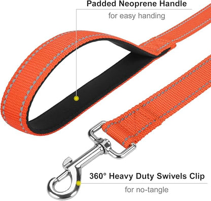 6FT Reflective Nylon Dog Leash with Soft Padded Handle for Walking, Running and Training, Supports Small Medium and Large Dogs (Orange, 1 Inch Wide)