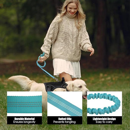 BUMBIN 6Ft Dog Leash Large Dogs, Bungee Dog Leash with 2 Handles, Heavy Duty Leashes for Medium Small Dogs, No Pull Shock Absorbing，with Car Seat Belt for Training, Blue