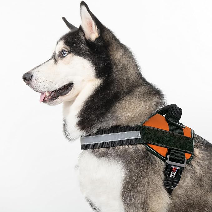 Dogline Dog Harness, Reflective No-Pull Adjustable Vest with Handle for Walking, Training, Breathable, No - Choke Harness for Small, Medium or Large Dogs Room for Patches Girth 22"-28" in Orange