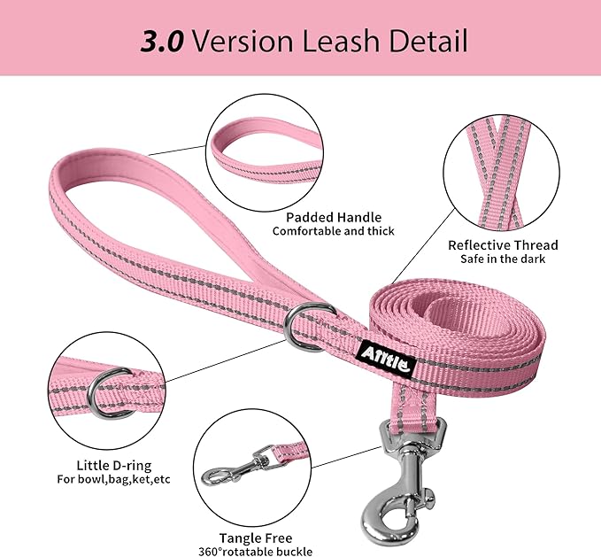 AIITLE Step in Dog Harness and Leash Set - No Pull Escape Proof Vest Harnesses with Soft Mesh and Reflective Bands, Adjustable Pet Outdoor Harnesses for Small and Medium Dogs Pink M