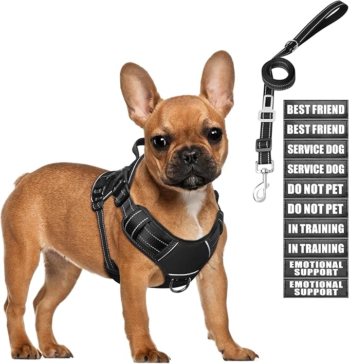 MOOGROU Tactical Dog Harness and Leash Set Small Sized Dog,Heavy Duty No Pull Service Dog Vest and 10 Patches with Dog Seat Belt,Reflective Adjustable Pet Harness for Training Walking Hiking Black S