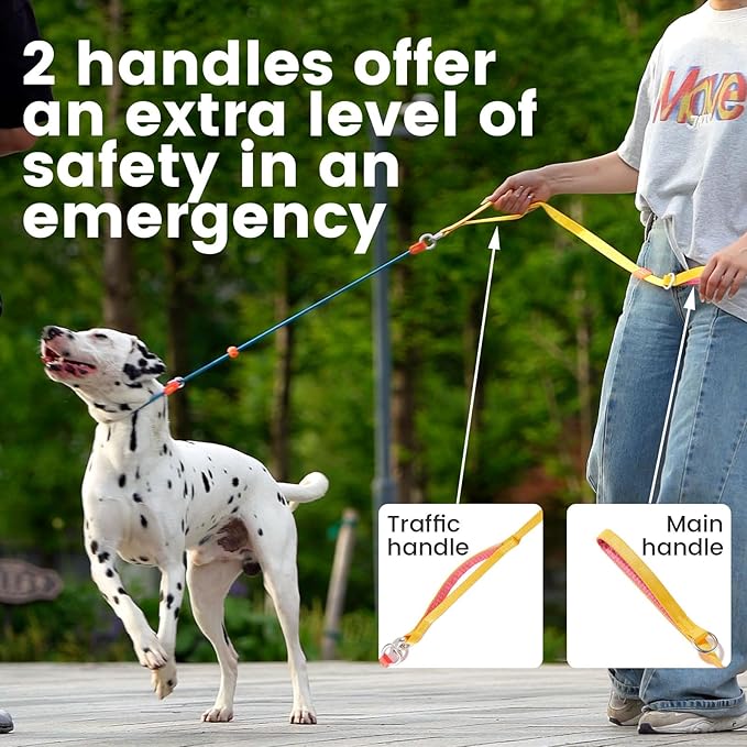 Slip Lead Dog Leash with Double Handles | Reflective Dog Training Lead with 360° Swivel Anti-Tangle | Heavy-Duty Leash and Collar for Large Medium and Small Dogs No-Pull Walking (Orange, 5.5FT)