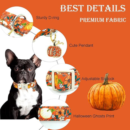Elegant little tail Halloween Dog Collar, Pumpkin with Flower Print Fall Pet Collars Cotton Soft Sturdy Puppy Collars Holiday Female Adjustable Collar for Small Dogs