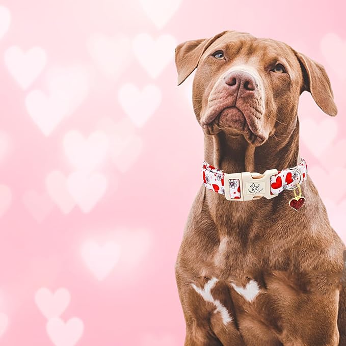 Elegant little tail Valentine's Dog Collar, Flower Pink Heart Dog Collar for Medium Dogs, Female or Male Adjustable Cotton Pet Collar with Quick Release Buckle for Small Medium Large Dogs