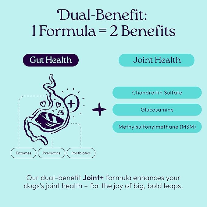 New! WellJoy Dog Supplement Joint+ GutBoost | Dog Health Supplement | Supports Healthy Flexible Joints | Dual-Benefit GutBoost Formulation | Vet Formulated | USA Made | Chicken Flavor | 90 Soft Chews