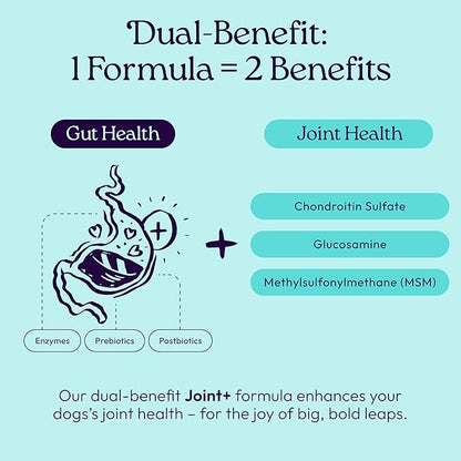 New! WellJoy Dog Supplement Joint+ GutBoost | Dog Health Supplement | Supports Healthy Flexible Joints | Dual-Benefit GutBoost Formulation | Vet Formulated | USA Made | Chicken Flavor | 90 Soft Chews