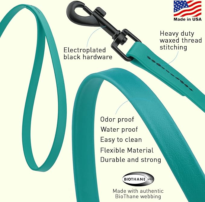 Dogline Biothane Waterproof Dog Leash Strong Coated Nylon Webbing with Black Hardware Odor-Proof Easy to Clean High Performance for Small or Large Dogs Made in USA 4 or 6 ft Lead, Blue Aqua