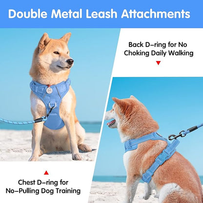 PoyPet No Pull Dog Harness and 5 Feet Leash Set, Release on Neck Reflective Adjustable Pet Vest, Front & Back 2 D-Ring and Soft Padded Pet Harness with Handle for Small to Large Dogs(Light Blue,S)
