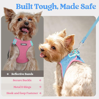 rabbitgoo Dog Harness Small Sized and Leash Set, Step in Soft Light Puppy Vest, Breathable Mesh Pet Harness, Reflective for Safe Easy Walking, Blue & Light Pink XXS