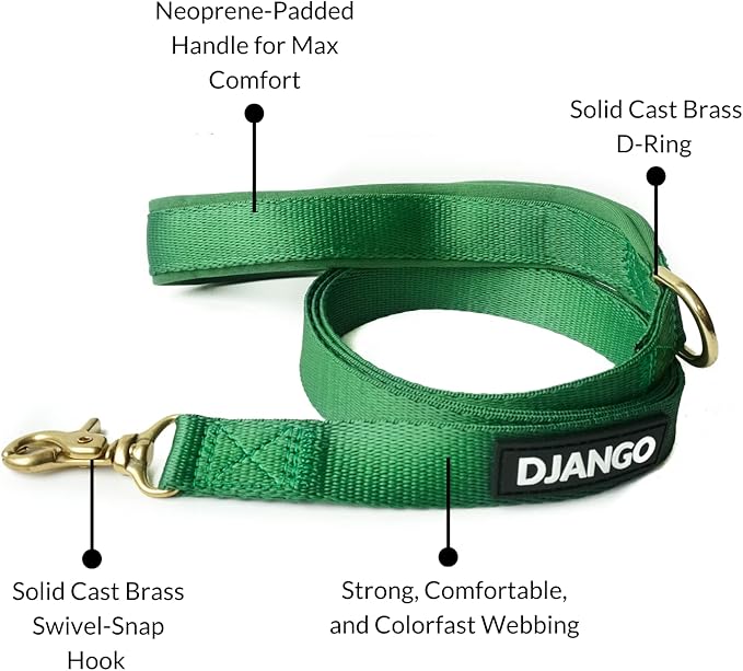 DJANGO Adventure Dog Leash – Strong, Comfortable, and Stylish Dog Leash with Solid Brass Hardware and Padded Handle - Designed for Outdoor Adventures and Everyday Use (Forest Green)