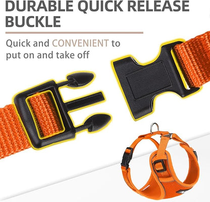 PUPTECK Small Dog Harness and Leash Set, No Pull Adjustable Puppy Cat Harness, Reflective Soft Mesh Pet Vest Small Sized, Orange, S