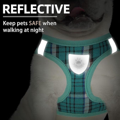 PUPTECK Adjustable Dog Harness Collar and Leash Set Step in No Pull Pet Harness for Small Medium Dogs Puppy and Cats Outdoor Walking Running, Soft Mesh Padded Reflective Vest Harnesses, Lake Green XL