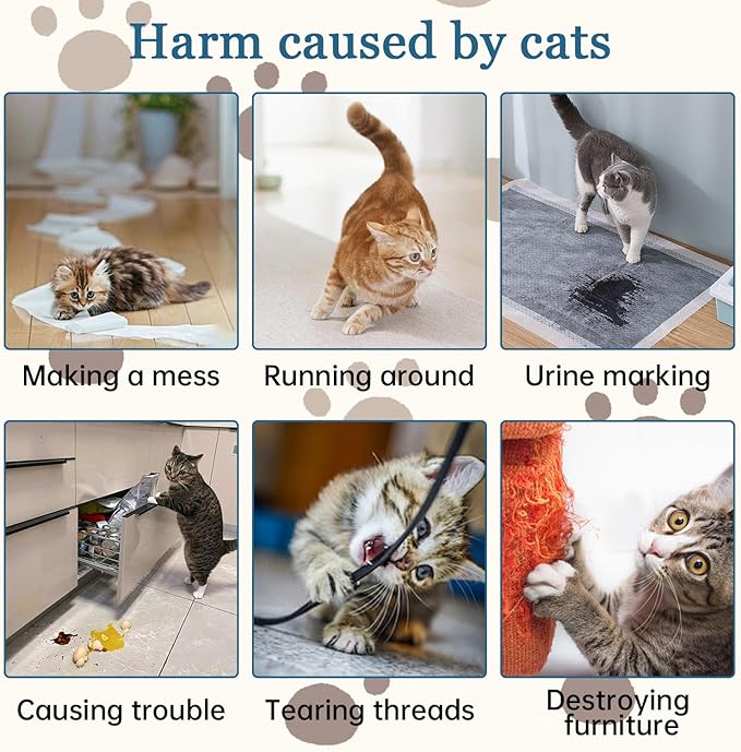 iALTERLL Cat Deterrent Spray Natural Safe Cat Repellent Indoor & Outdoor, Effective Training Aid, Anti-Scratch Deterrent for Furniture, Sofas, Rugs, Citrus cat Deterrent Spray Non-Toxic （White）