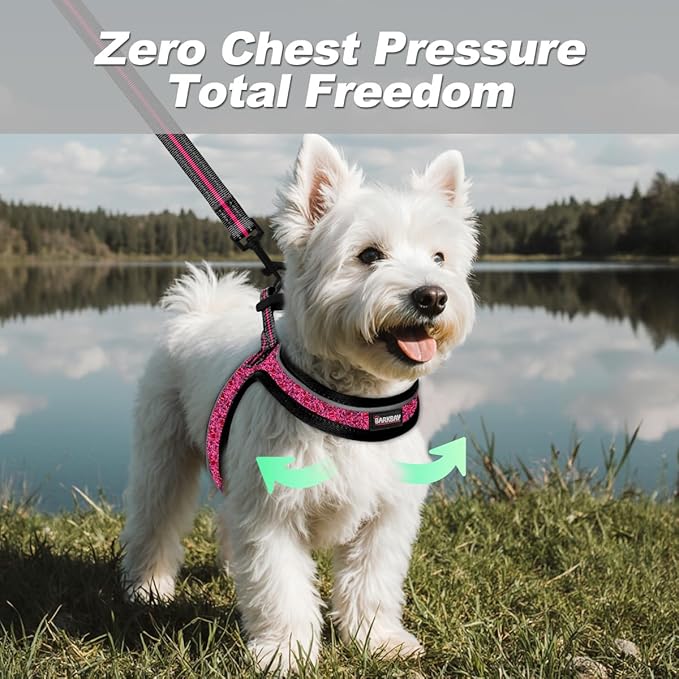 Dog Harness and Leash Set,Step in Small Sized Dog Harness,Soft Mesh,No-Chock,Reflective Adjustable,Secure with Hook & Loop Fastener,Puppy Vest for Small,Medium Dogs(Pink/Black,XXS)