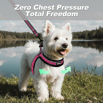 Dog Harness and Leash Set,Step in Small Sized Dog Harness,Soft Mesh,No-Chock,Reflective Adjustable,Secure with Hook & Loop Fastener,Puppy Vest for Small,Medium Dogs(Pink/Black,L)
