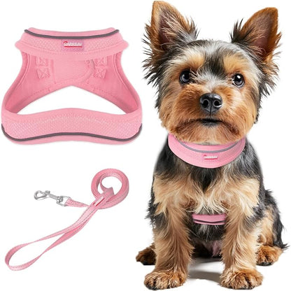 Dog Harness and Leash Set,Step in Small Sized Dog Harness,Soft Mesh,No-Chock,Reflective Adjustable,Secure with Hook & Loop Fastener,Puppy Vest for Small,Medium Dogs(Baby Pink,XS)