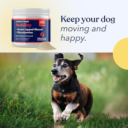 Honest Paws Glucosamine for Dogs – Joint & Mobility Supplement Powder with Green Lipped Mussel, Fish Oil & MSM – Supports Hip & Joint Health, Support Stiffness, Dog Supplies