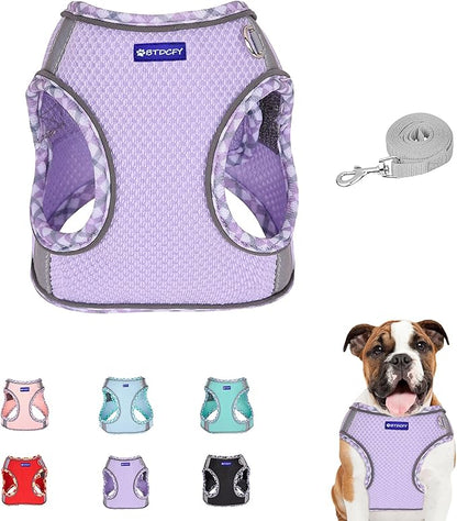 Step in Mesh Dog Harness & Leash Set - Breathable Air Mesh Reflective Escape Proof Vest, No Choke, Lightweight, Purple