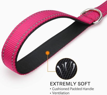 Joytale Double-Sided Reflective Dog Leash, 4 FT, Padded Handle Nylon Heavy Duty Leashes for Small & Medium Dogs Walking, Hotpink