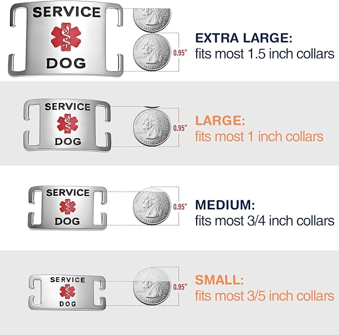 Leash King Surgical Stainless Steel K9 Pet ID Jewelry Tag - Slide on Dog Collar or Harness Quickly and Securely – No Noise, Durable - Stylish & Comfortable - Perfect for Dogs & Cats/Large